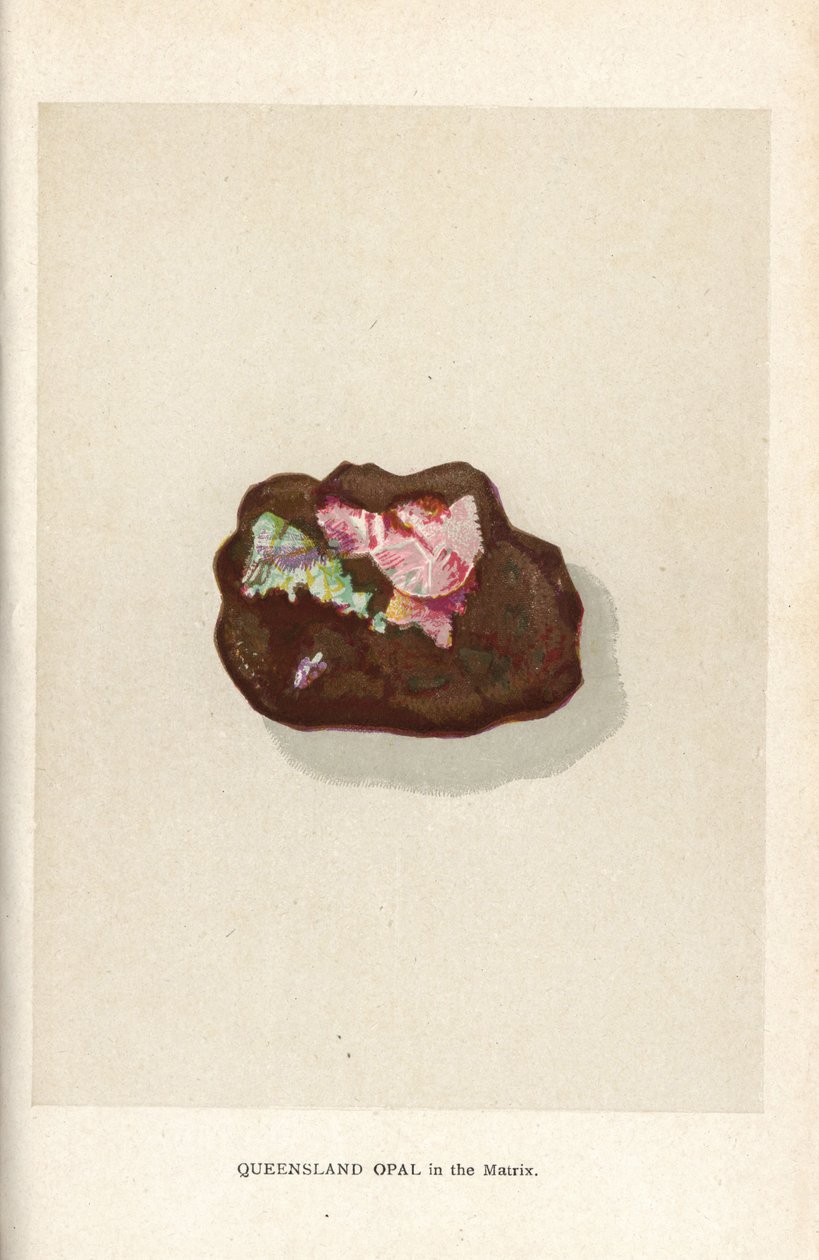 Ópalo de Queensland en la matriz, de "Precious Stones and Gems" de Edwin Streeter, Londres, George Bell & Sons de English School