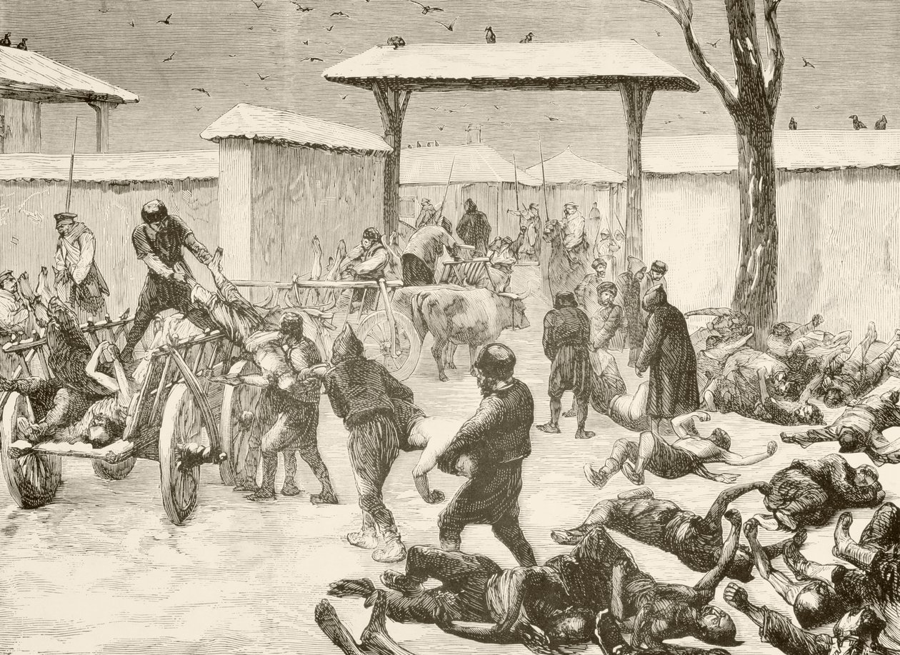 Recuperación de los muertos tras el asedio de Plevna, Bulgaria, en 1877 (litografía) de English School