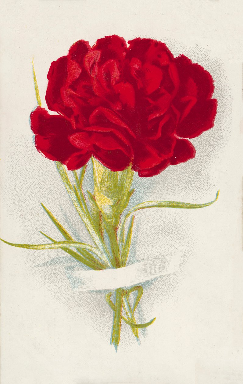 Clavel rojo (cromolito) de English School