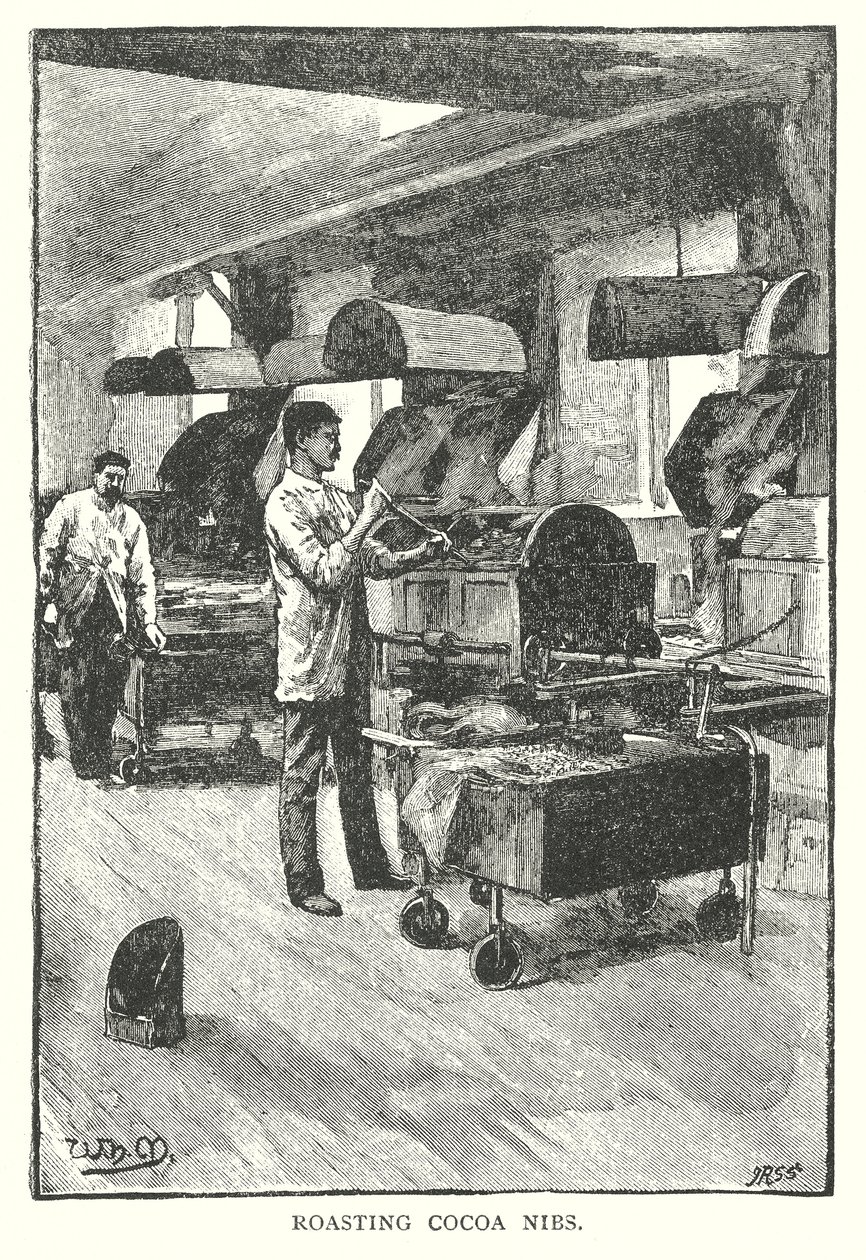 Tostado de plumillas de cacao (grabado) de English School