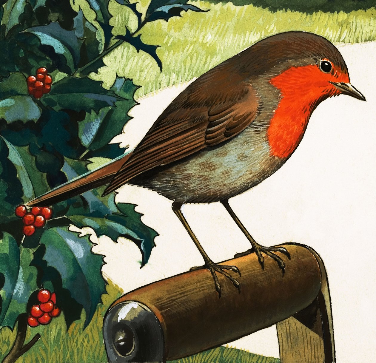 Petirrojo (gouache sobre papel) de English School