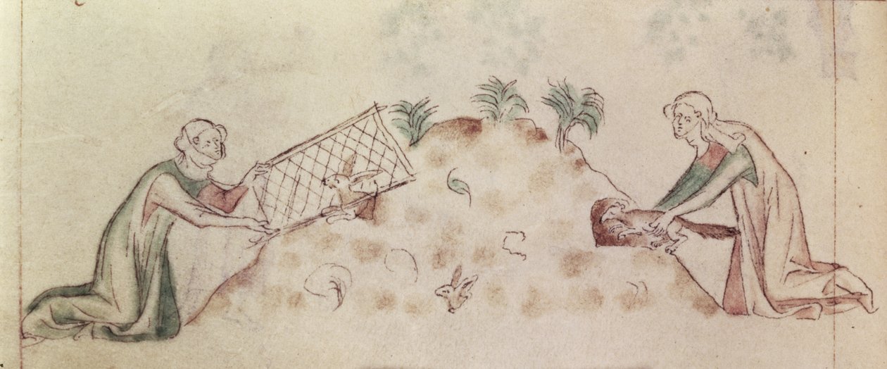 Roy 2 B VII f.155v Mujeres atrapando un conejo con una red y un hurón, del 