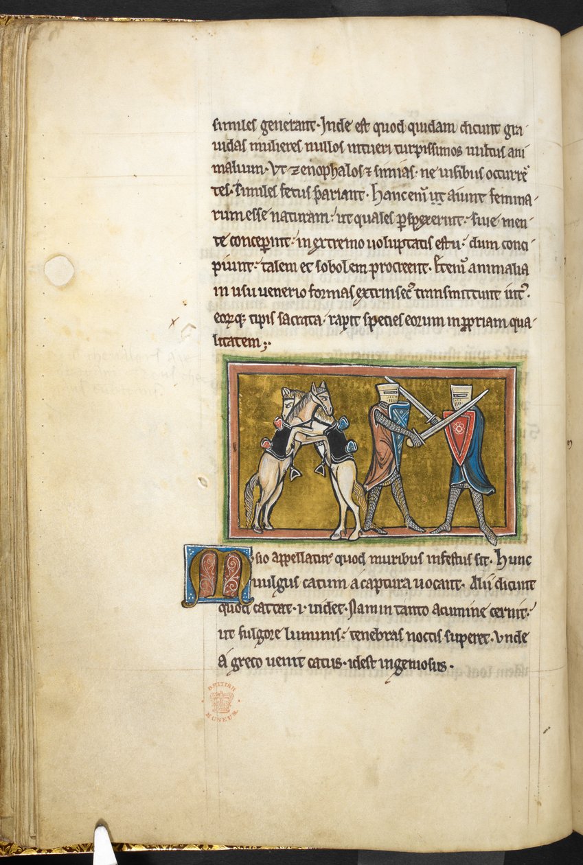 Real 12 F.XIII, f.42v Dos caballeros que luchan a pie con espadas, mientras sus caballos luchan entre sí sobre las patas traseras. , de Bestiario (ff. 3-141), Lapidario (ff. 141v-149)  , segundo cuarto del siglo XIII (vitela) de English School
