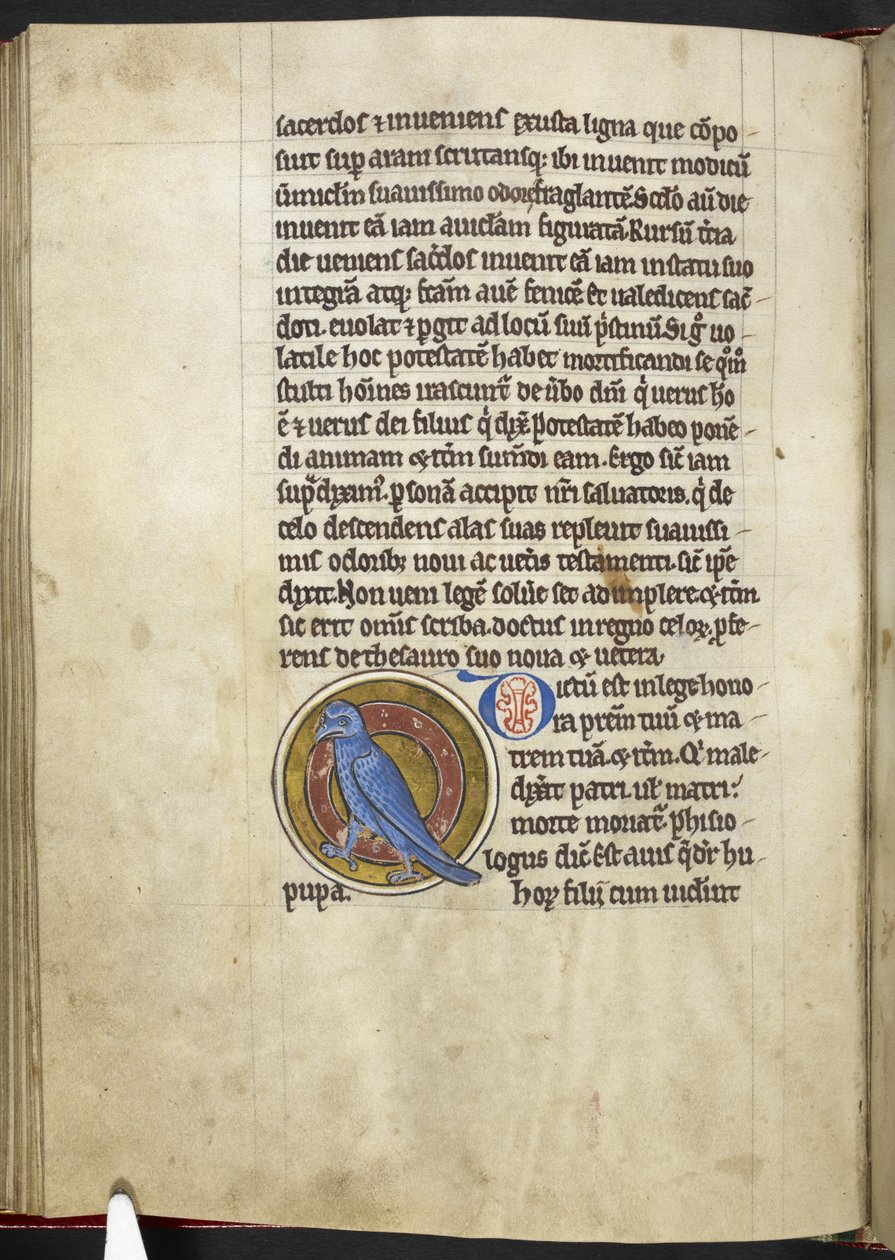 Royal MS 12 C XIX f.50v, Abubilla, de 