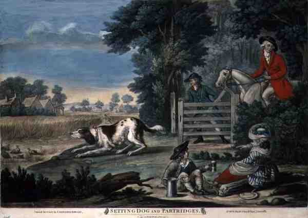 Perro de caza y perdices, publicado por Carington Bowles de English School