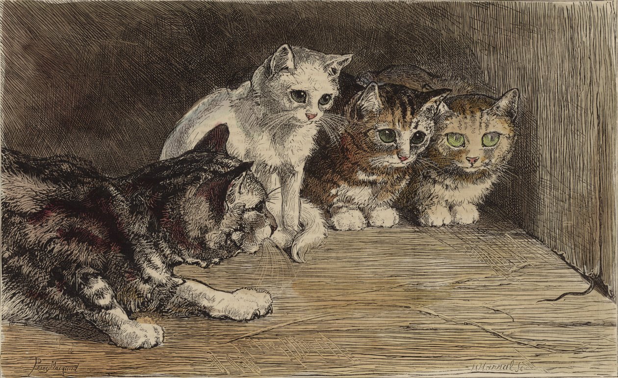 Varios gatos mirando la cola de un ratón (grabado tintado) de English School