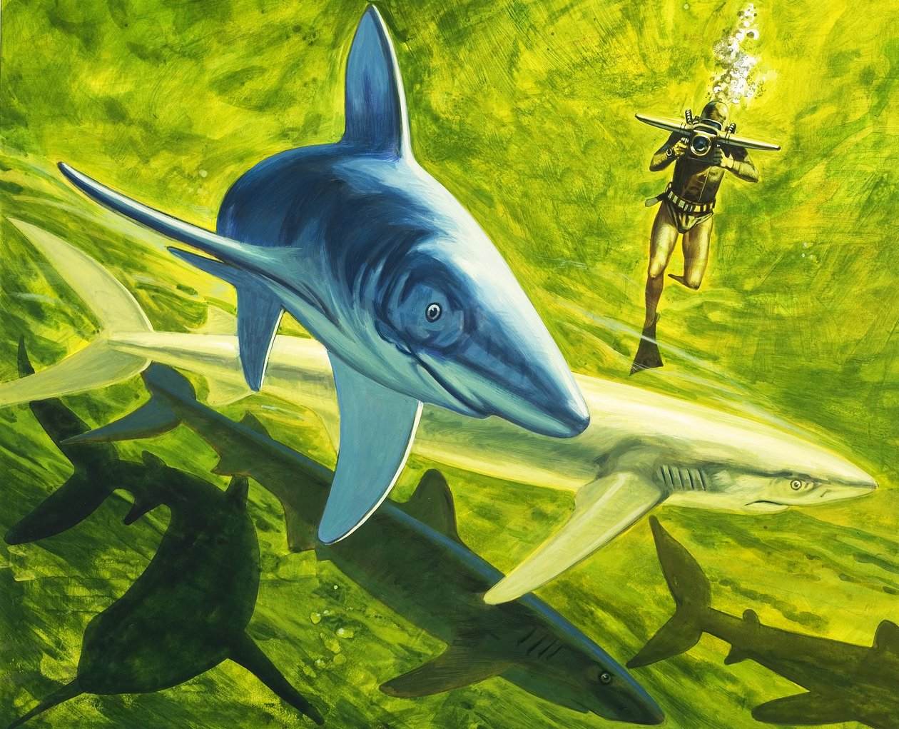 Tiburones, ilustración de "Nuestro mundo submarino de English School