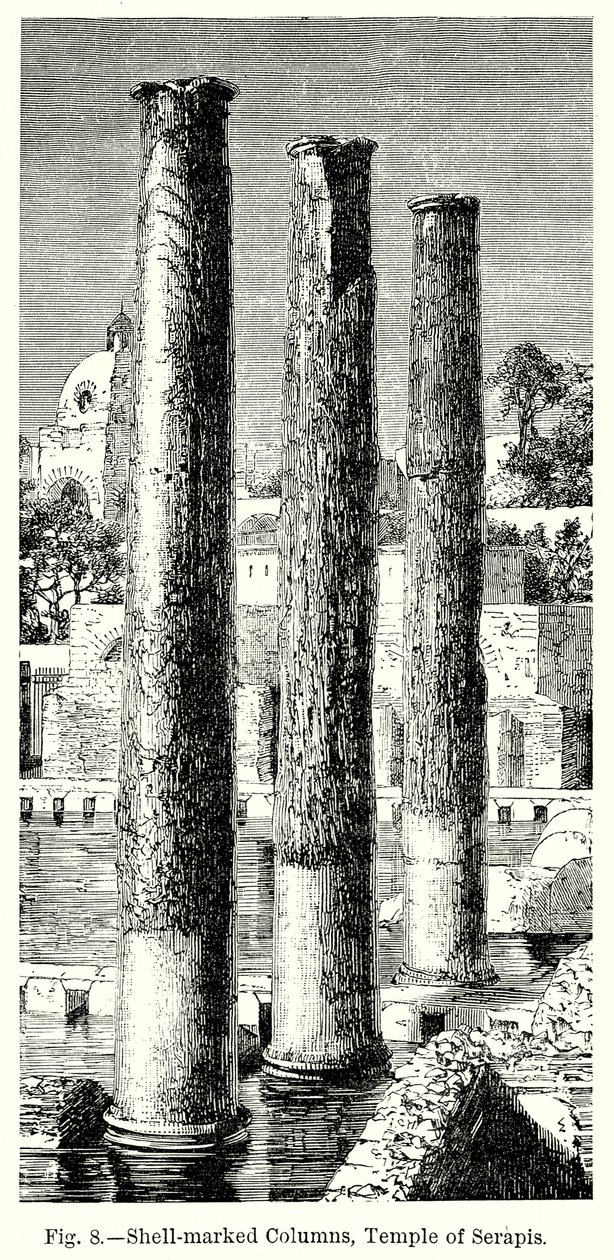 Columnas marcadas con conchas, Templo de Serapis (grabado) de English School