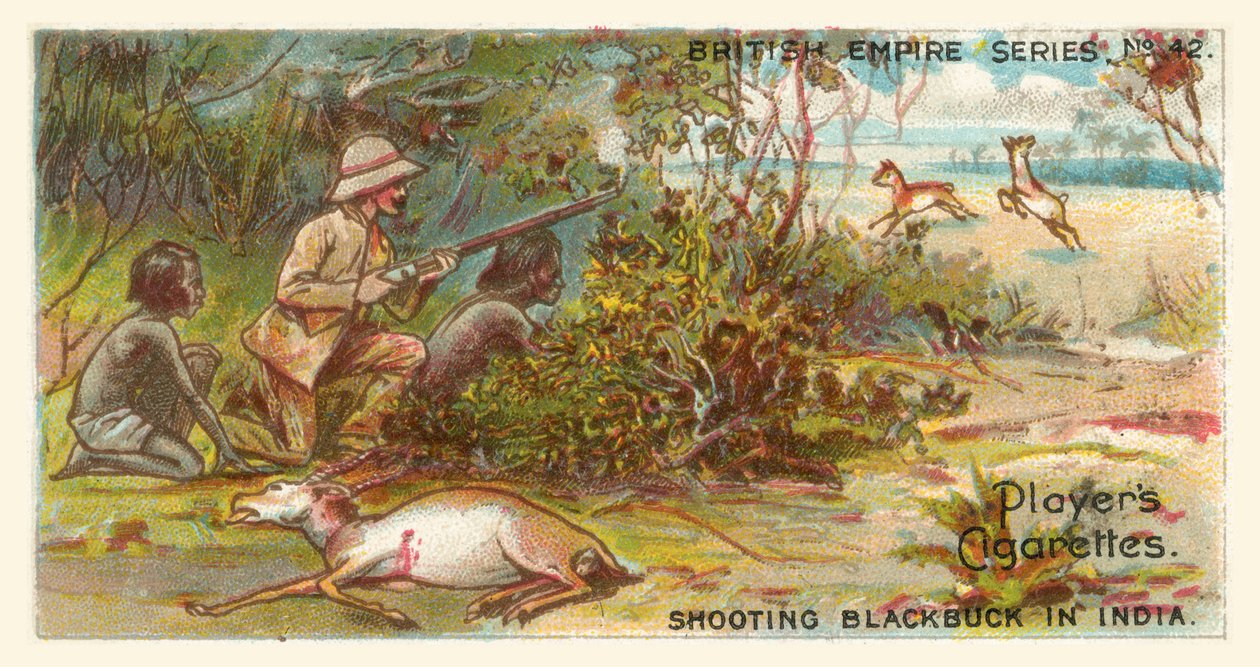Rodaje de un antílope negro en la India (chromolitho) de English School