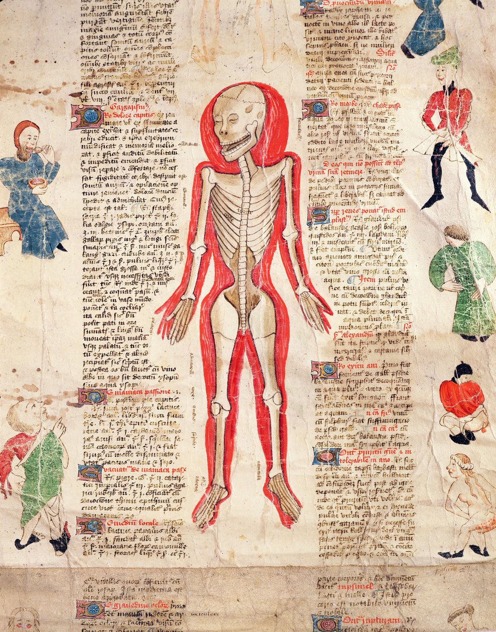 Esqueleto, de De arte phisicali e de cirugia de John Ardene, 1412 de English School
