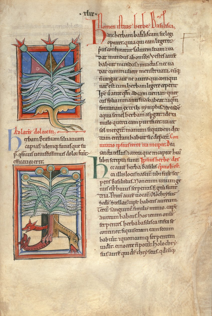 Sloane Ms 1975 fol.48 La basílica de las hierbas de English School