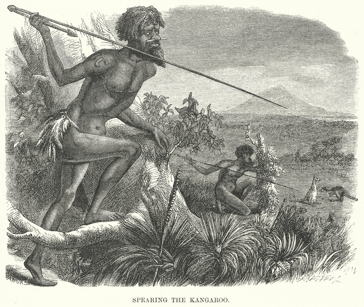 Spearing the Kangaroo (grabado) de English School