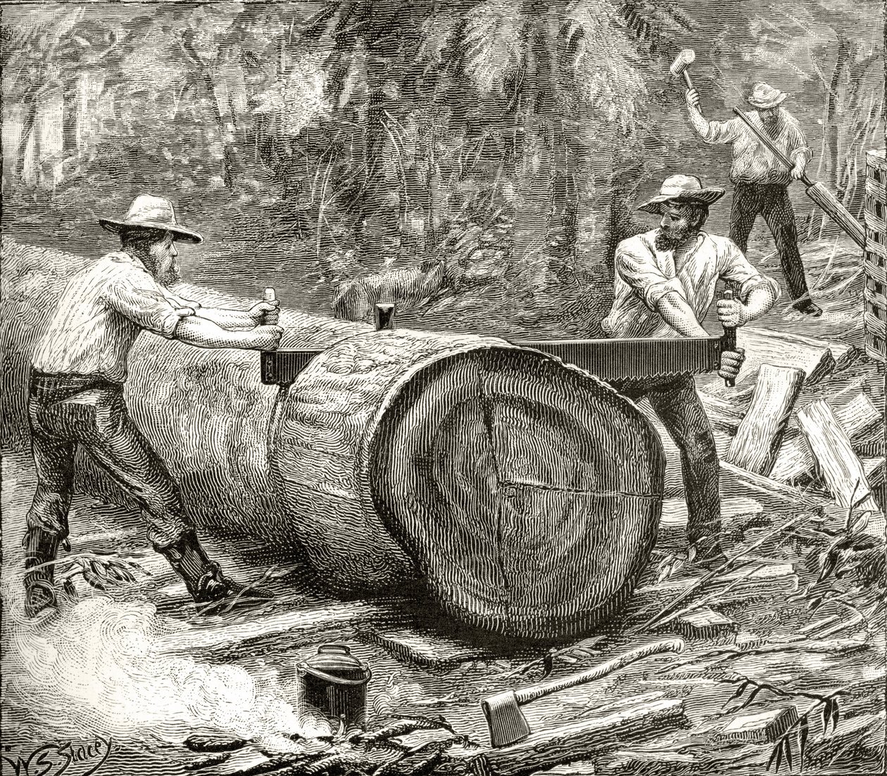 Divisores en el Bosque, c.1880, de 
