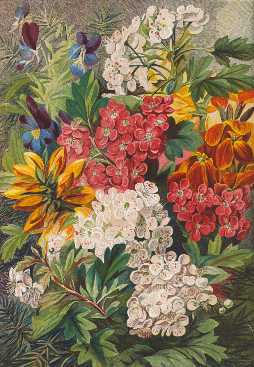 Flores de primavera (litografía en color) de English School