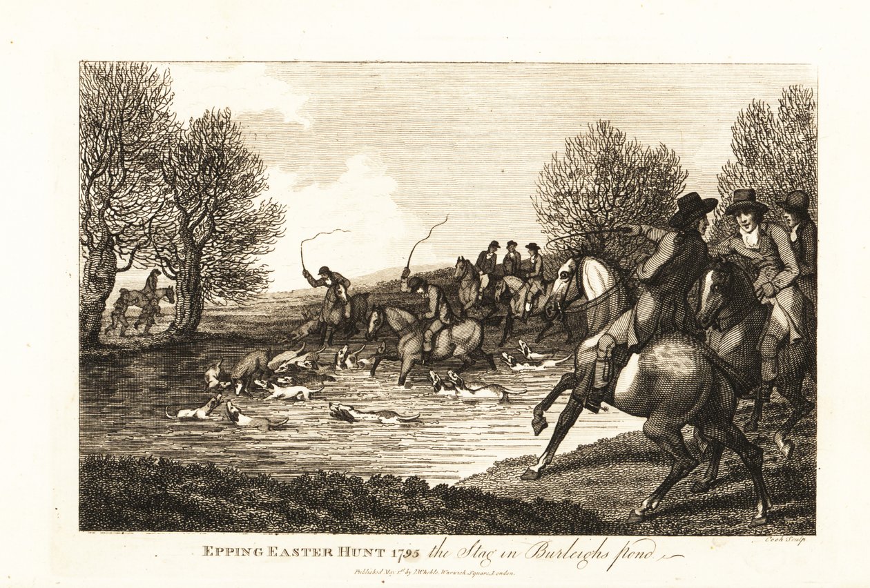Cazadores de ciervos y sabuesos cazando un cervatillo en la Caza de Pascua de Epping de English School