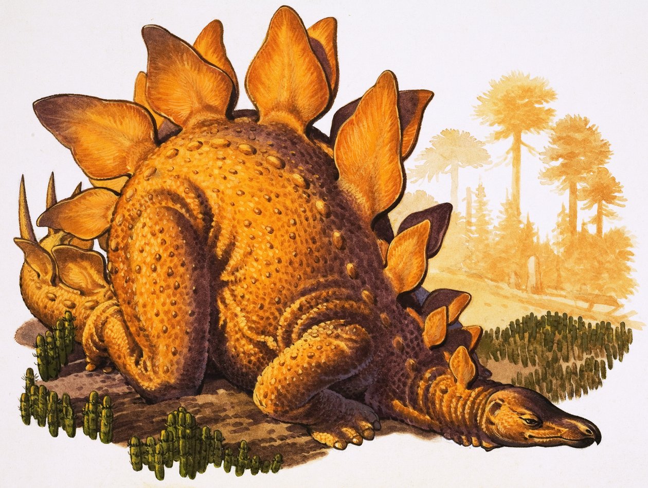 Stegosaurus (gouache sobre papel) de English School