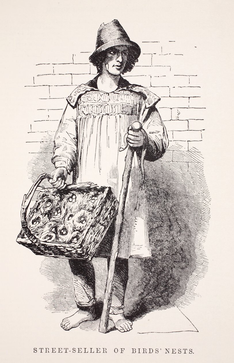 Vendedor callejero de nidos de pájaros, ilustración de London Labour and London Poor por Henry Mayhew, pub. 1862 de English School