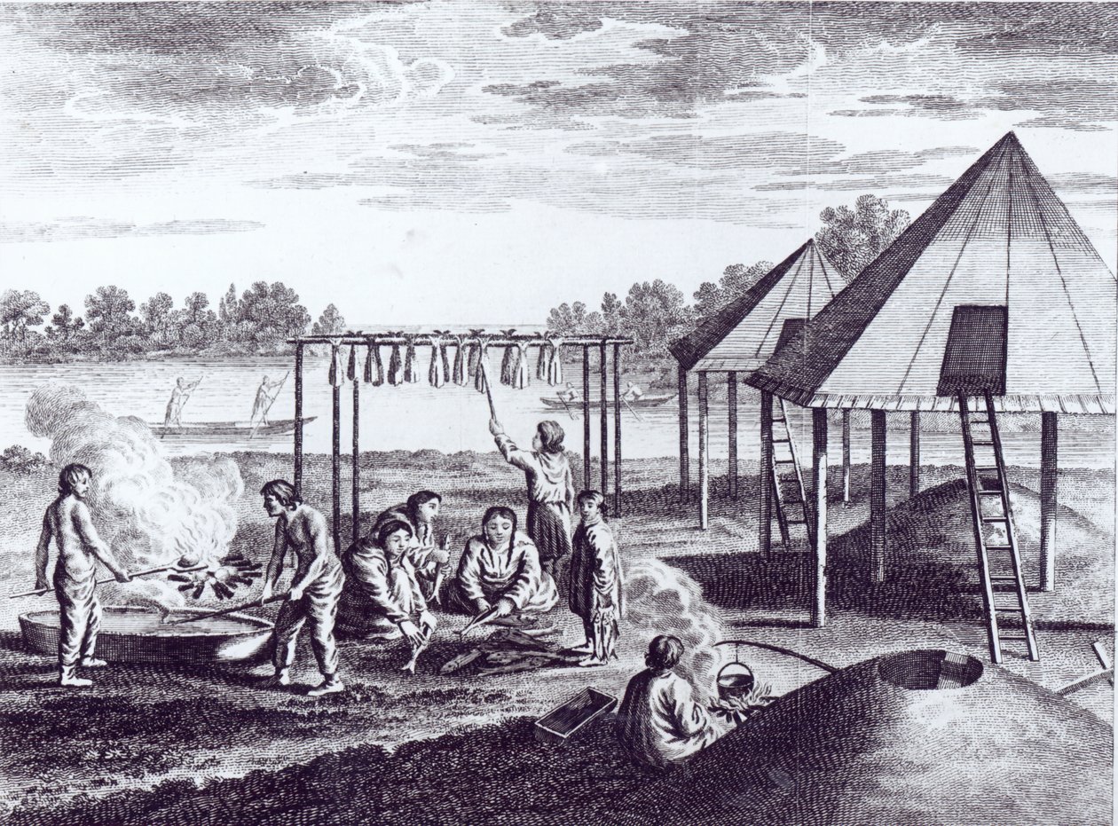 Cabañas de verano de English School