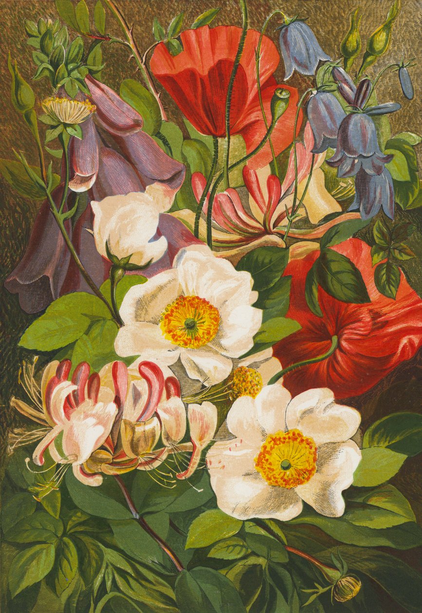 Flores de verano (litografía en color) de English School