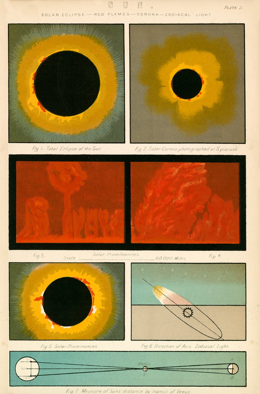 Sol (litografía en color) de English School