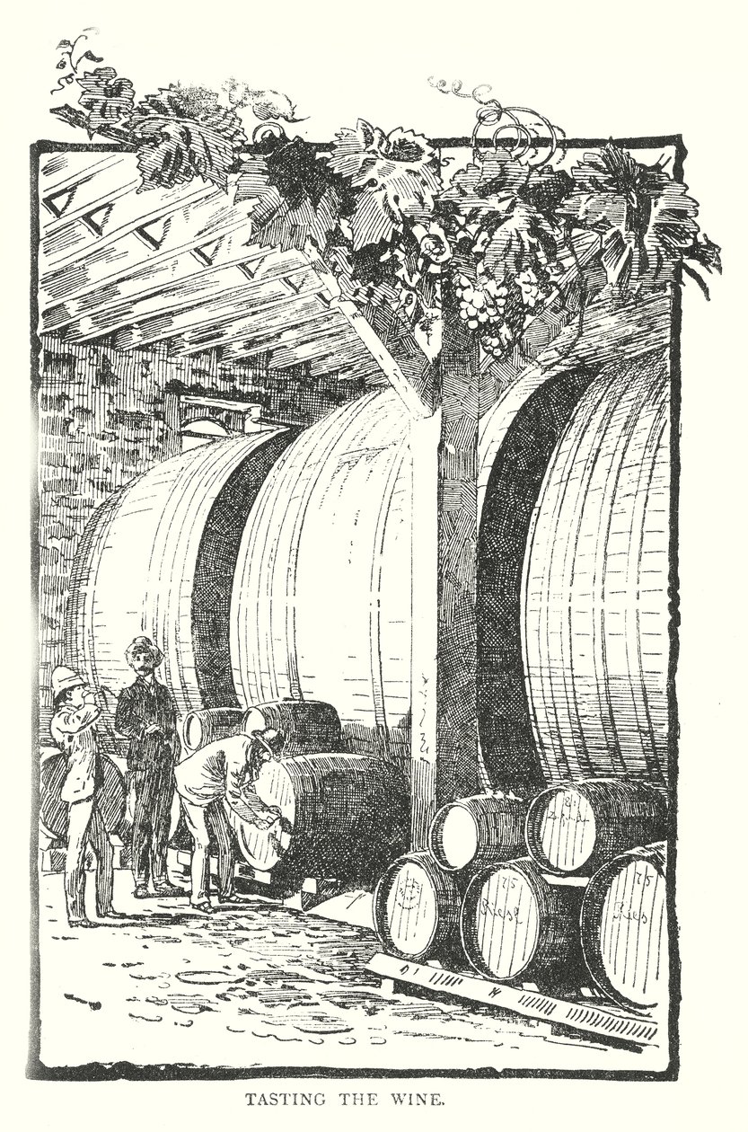 Degustación del vino (grabado) de English School