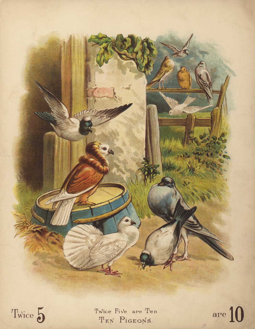 Diez palomas (cromolito) de English School