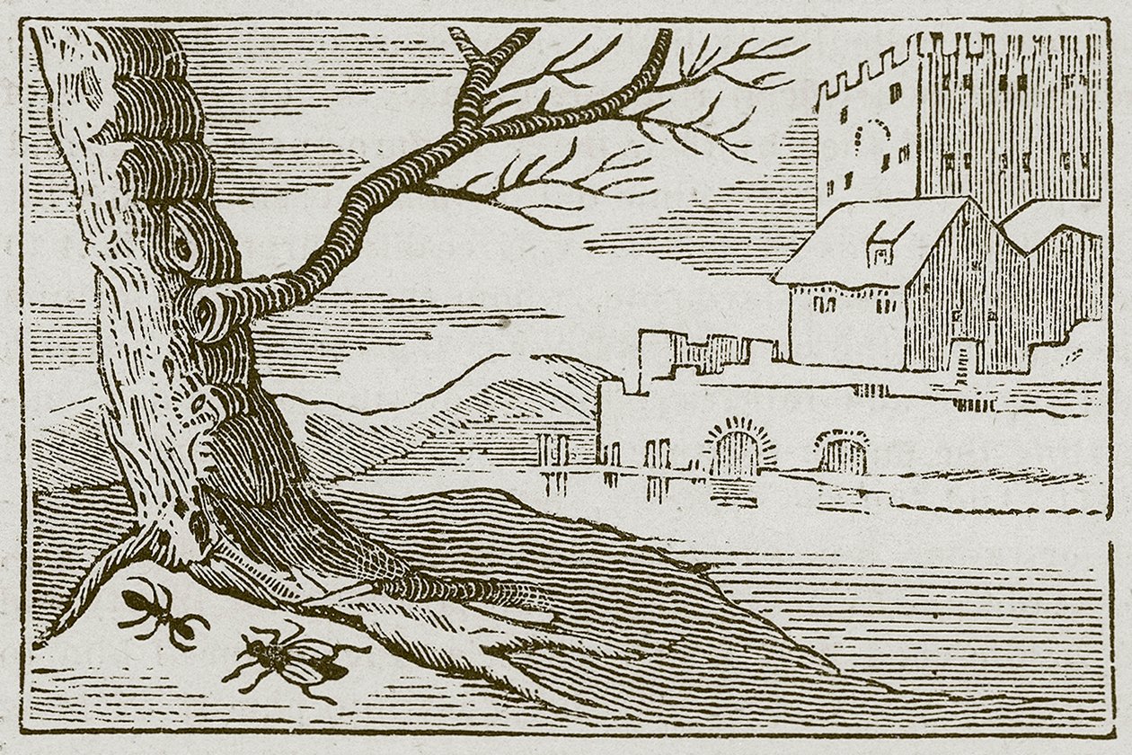 La hormiga y la mosca (grabado) de English School