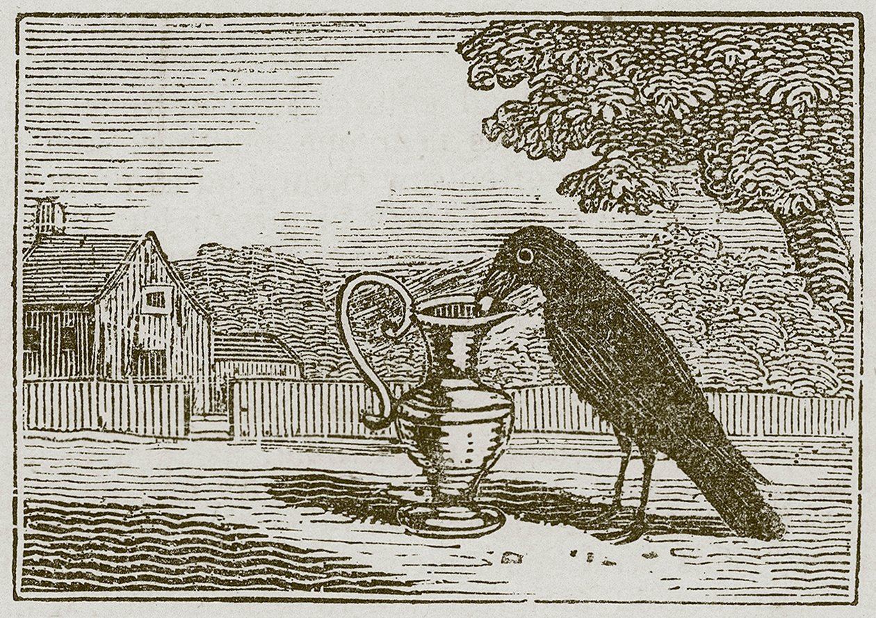 El cuervo y el cántaro (grabado) de English School