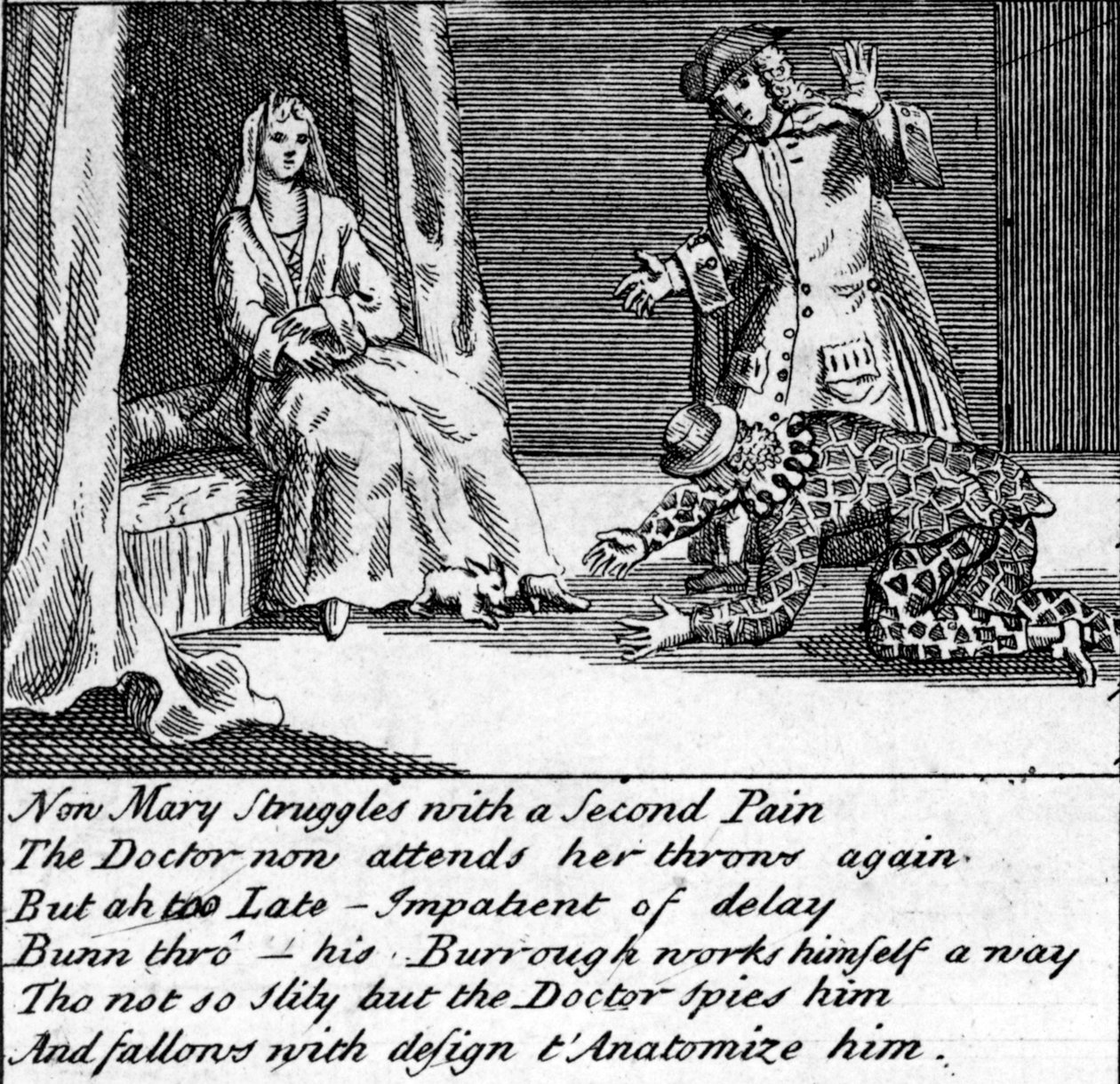 El Doctor en Trabajo, o la Nueva Chifladura de Guildford, c.1726 de English School