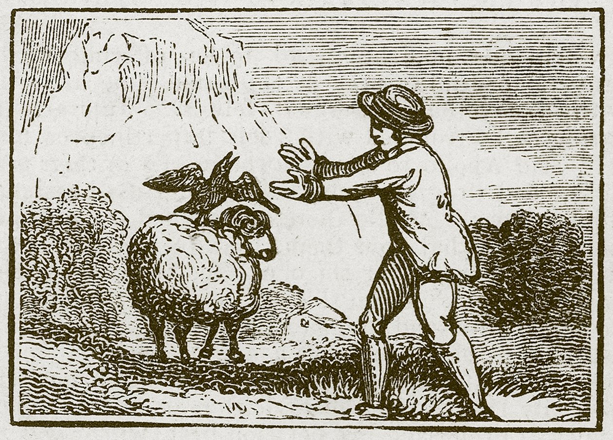 El águila y el cuervo (grabado) de English School