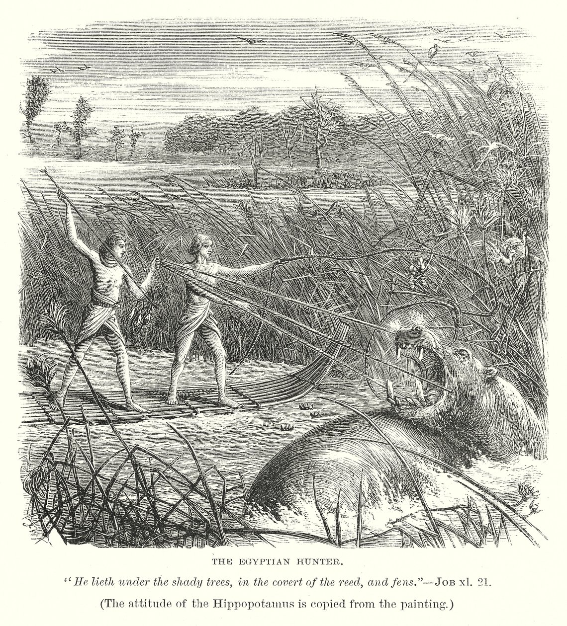 El cazador egipcio (grabado) de English School