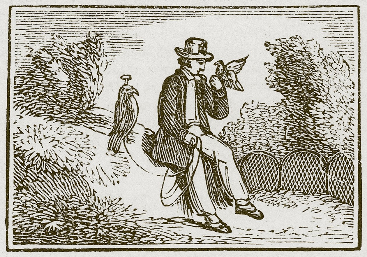 El halconero y la perdiz (grabado) de English School