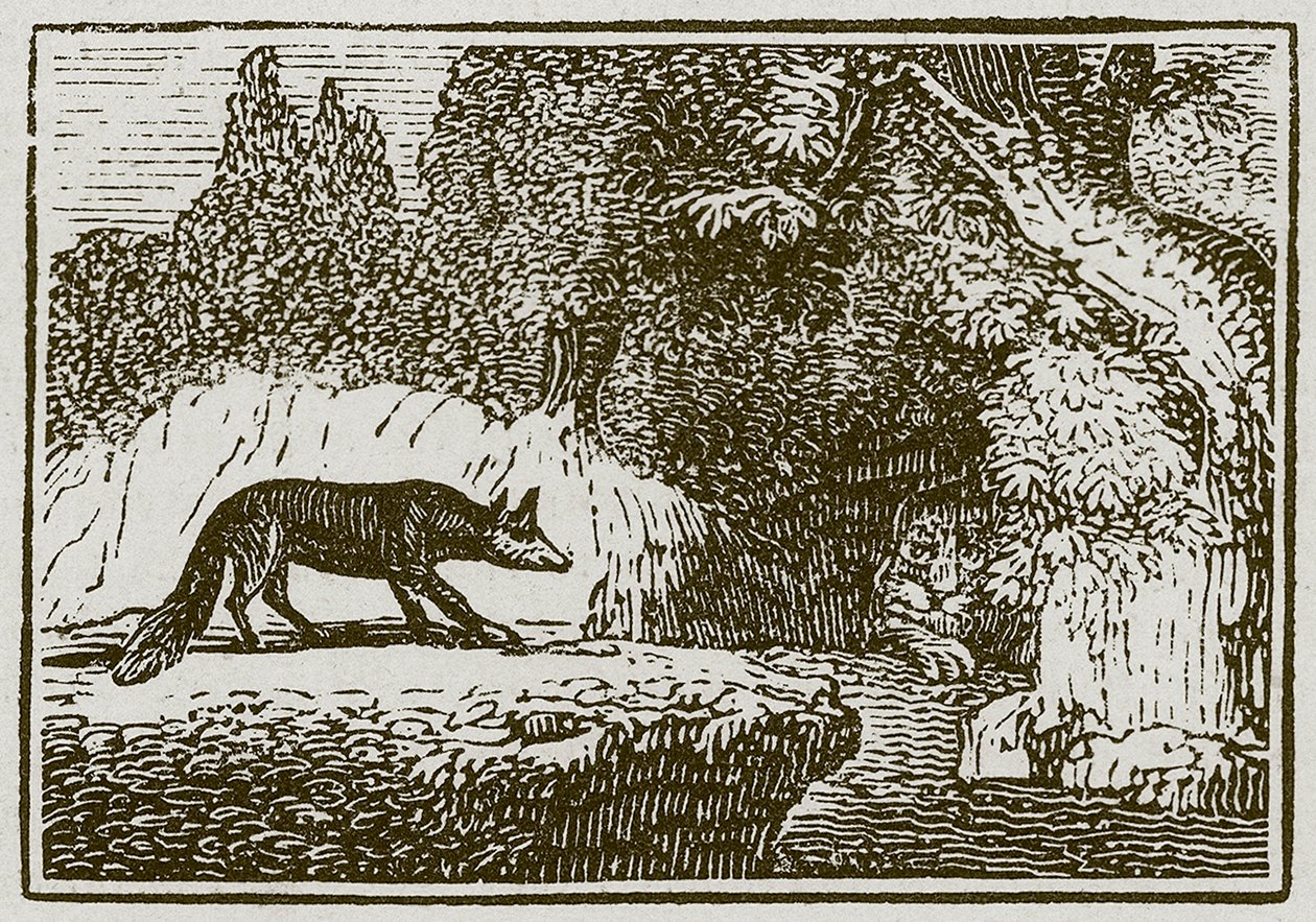 La zorra y el león enfermo (grabado) de English School