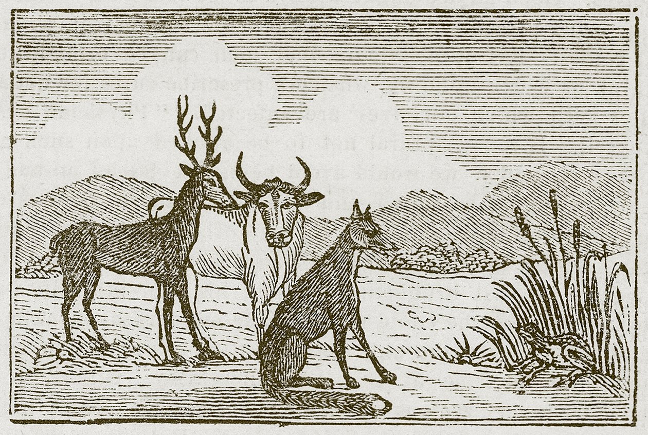 La rana y la zorra (grabado) de English School