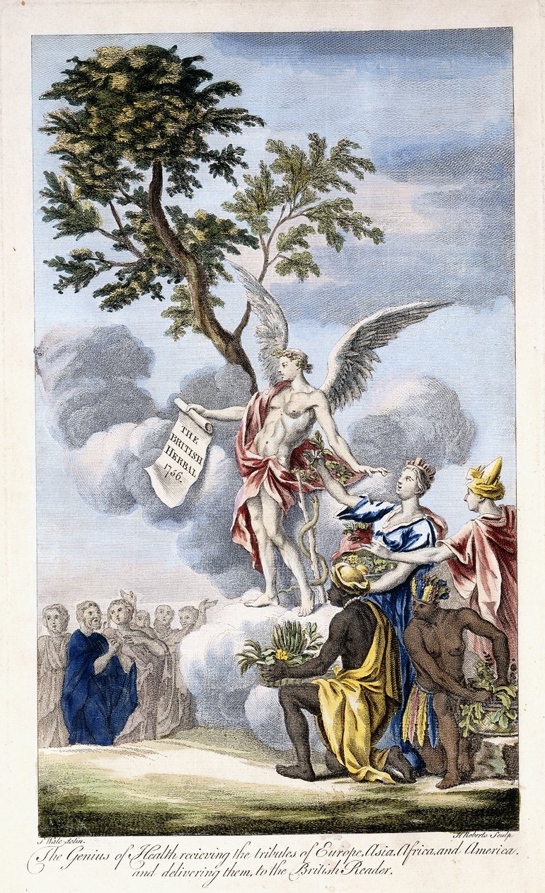 El Genio de la Salud recibiendo a Europa, Asia, África y América y entregándolos al Lector Británico, 1756-1757 de English School