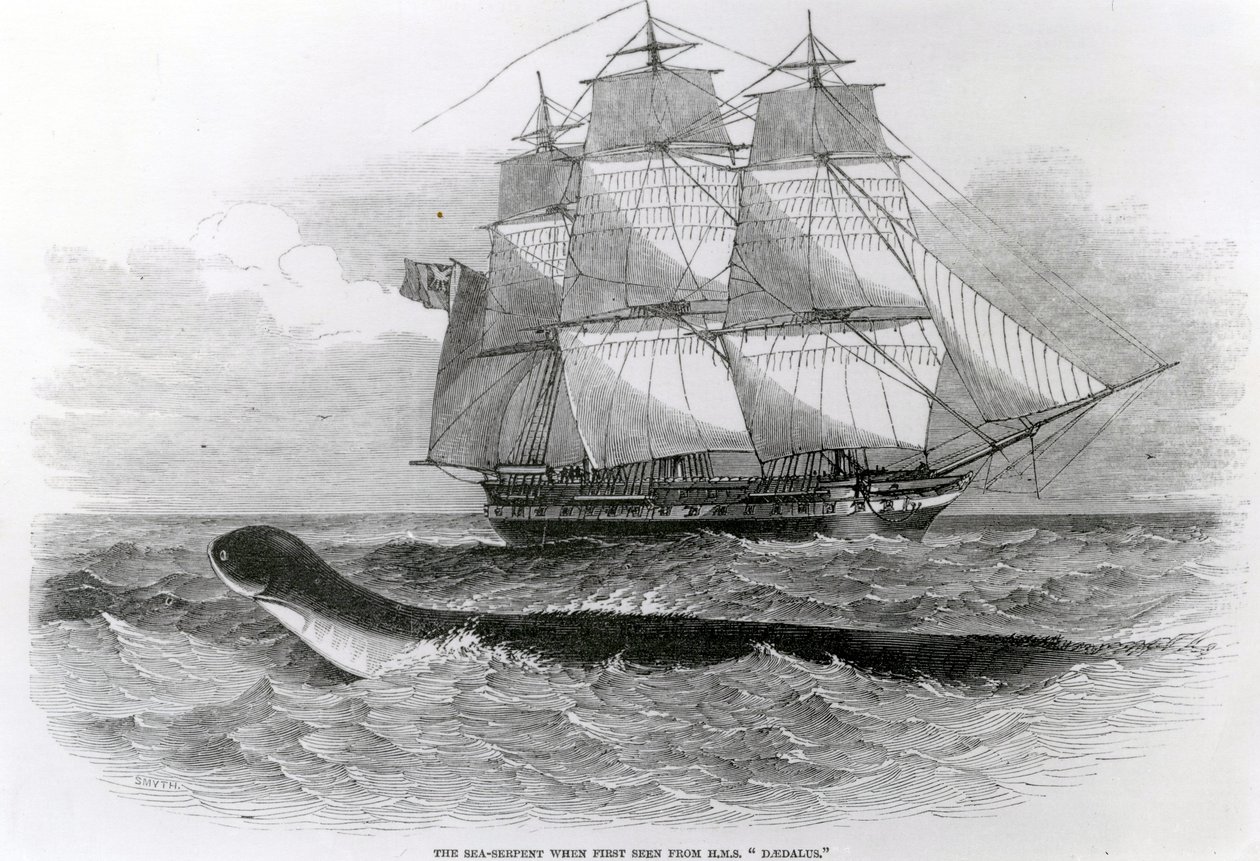 El Gran Serpiente Marina cuando fue vista por primera vez desde el H.M.S. Daedalus de English School