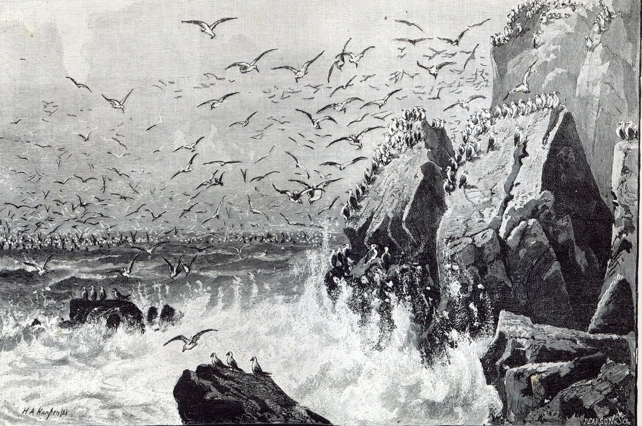 El refugio de las gaviotas, de 