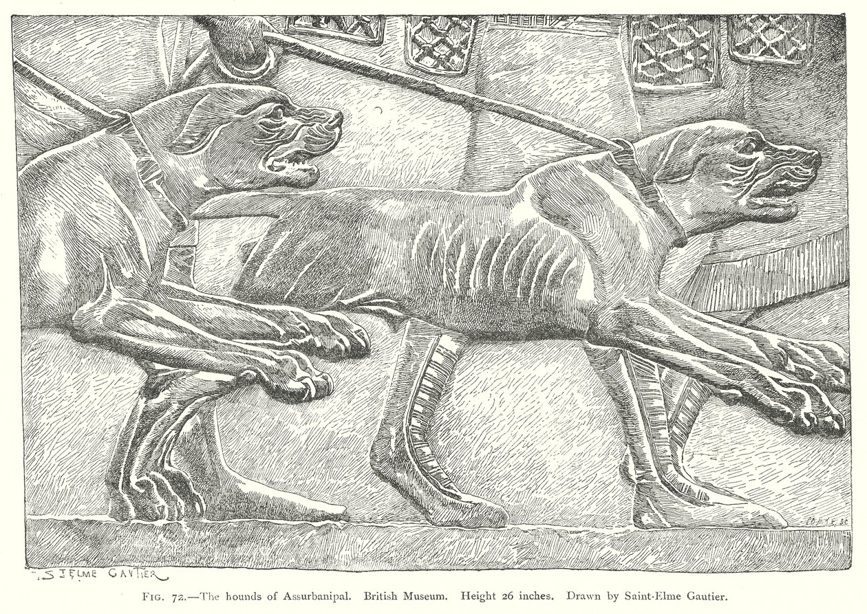 Los sabuesos de Assurbanipal. Museo Británico (grabado) de English School