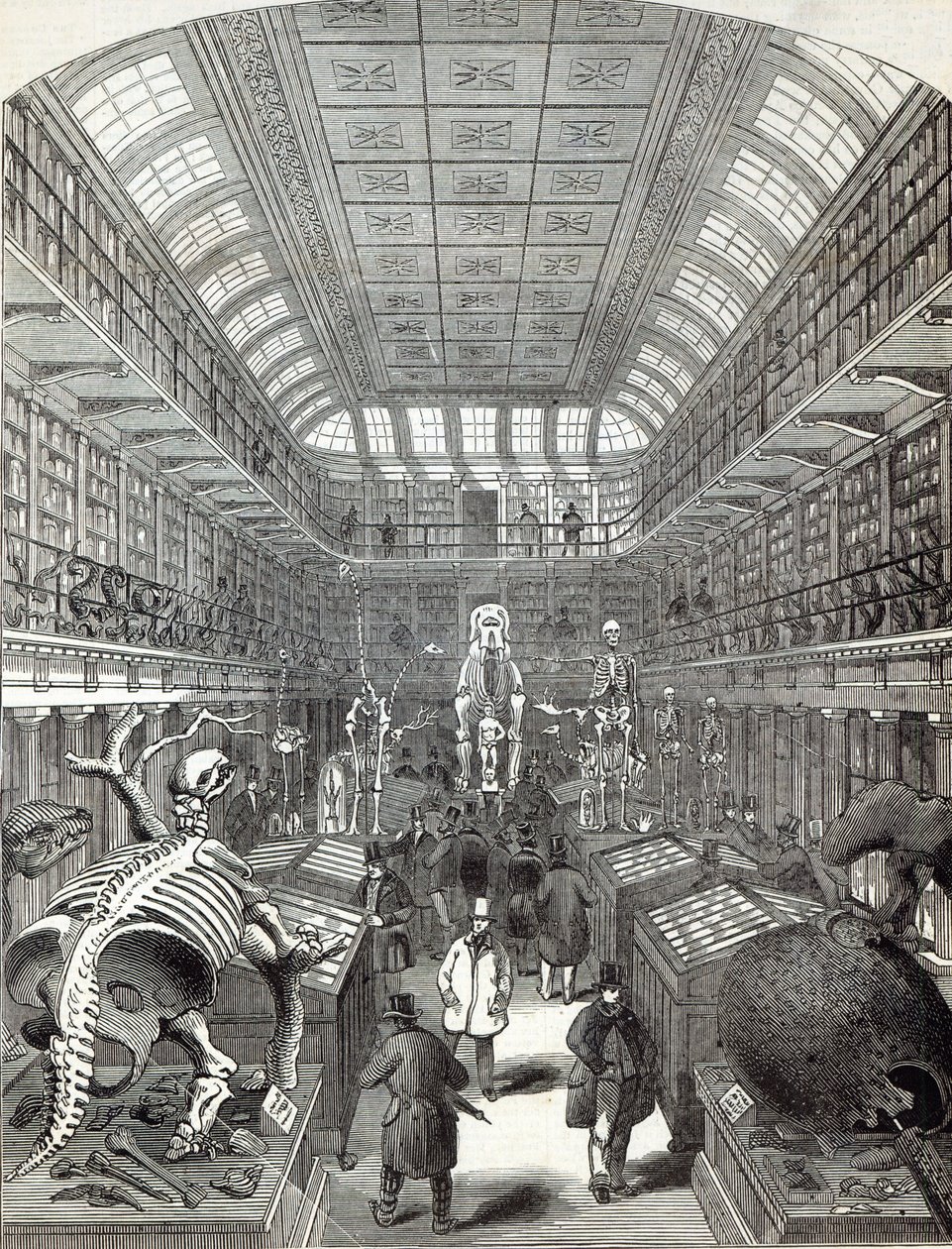 El Museo Hunterian, en el Royal College of Surgeons, de 