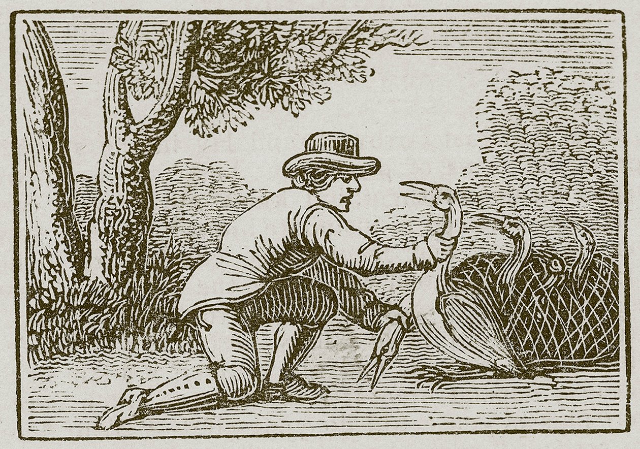 El labrador y la cigüeña (grabado) de English School