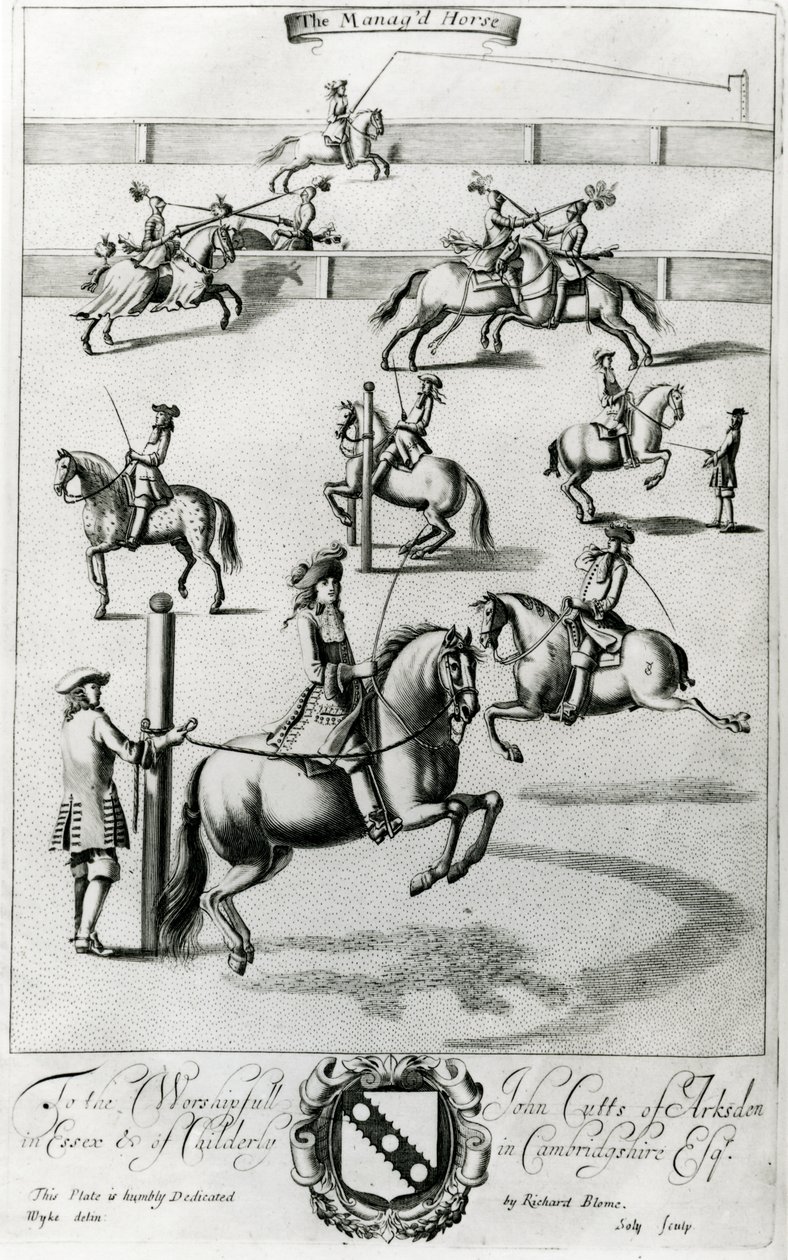 El Caballo Domado, de 
