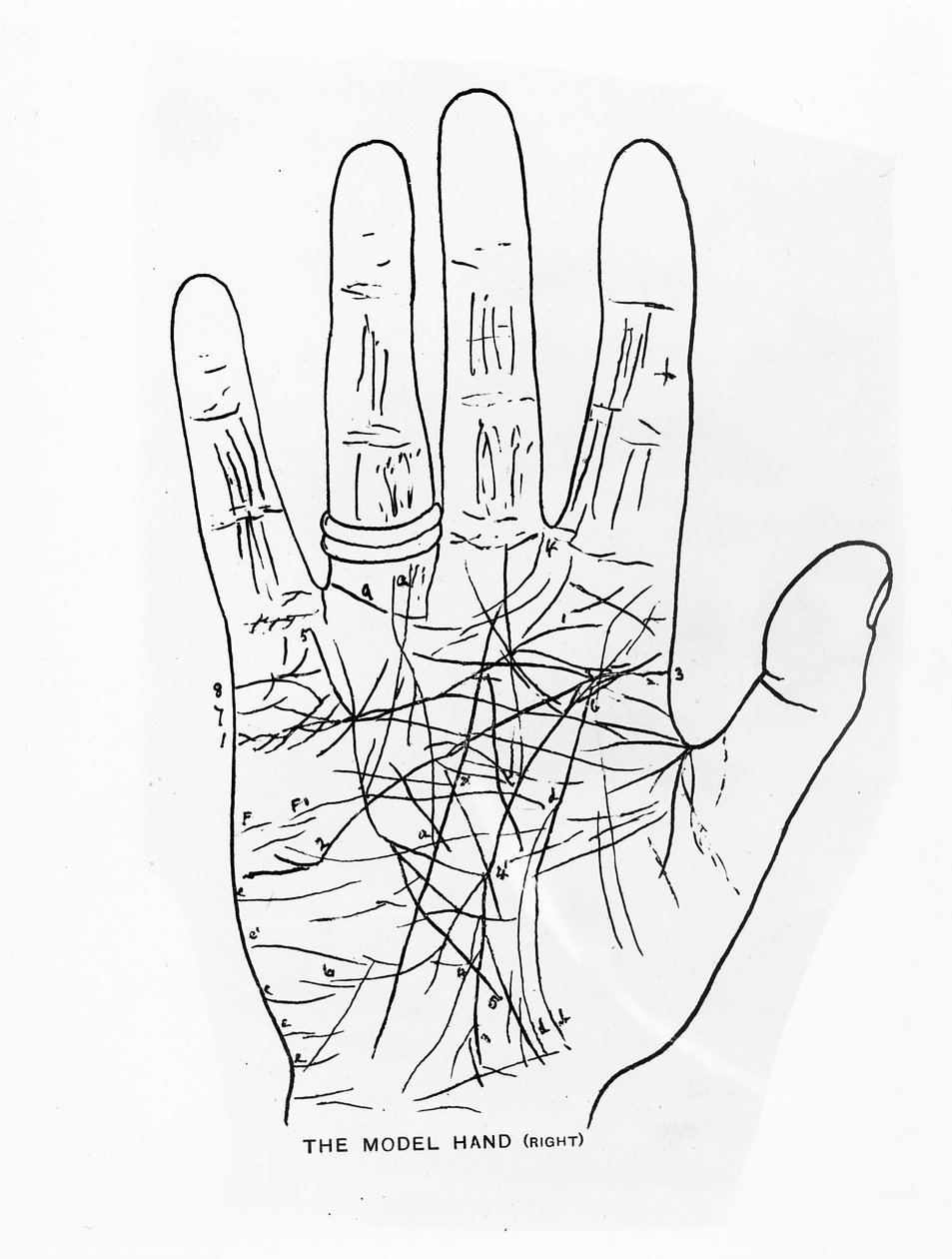 La mano modelo (derecha) de English School