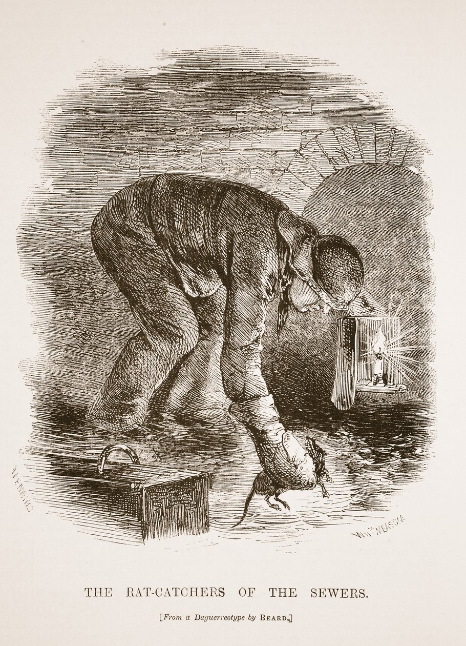 Los cazadores de ratas de las alcantarillas, ilustración de London Labour and London Poor de Henry Mayhew, pub. 1862 de English School