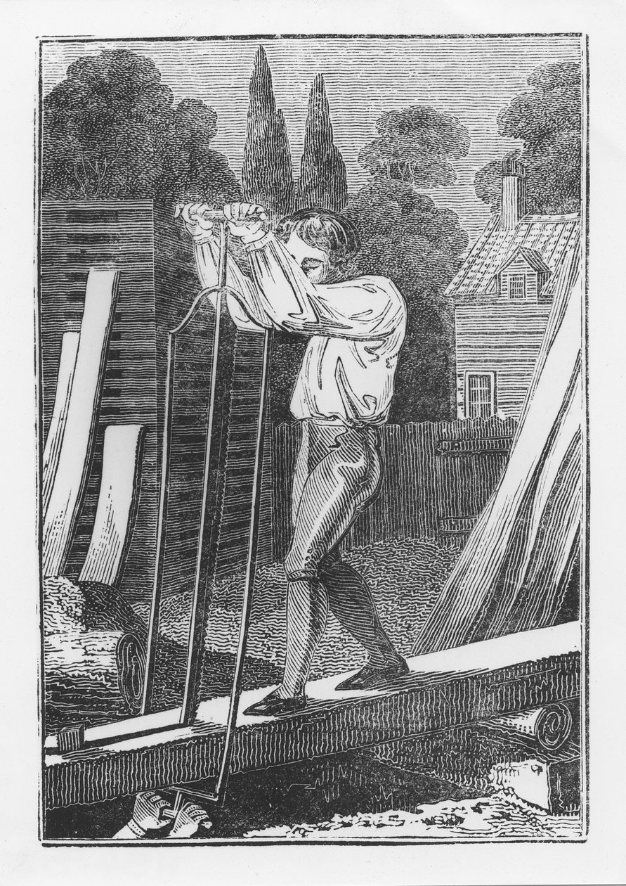El aserrador, del libro The Young Tradesman or Book of English Trades, 1839 de English School