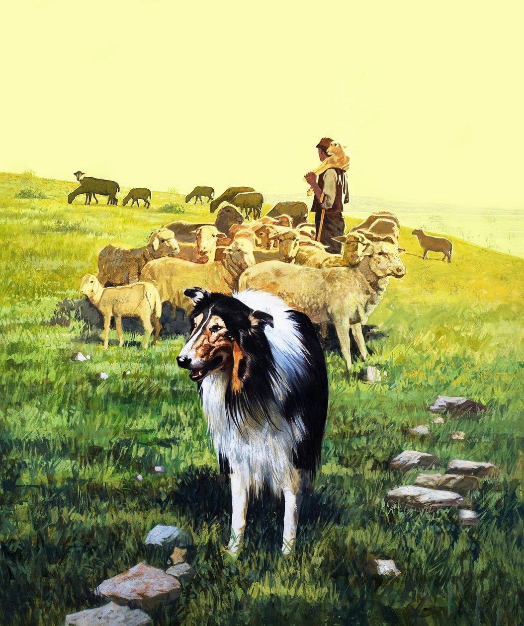 El perro pastor, ilustración de Érase una vez de English School
