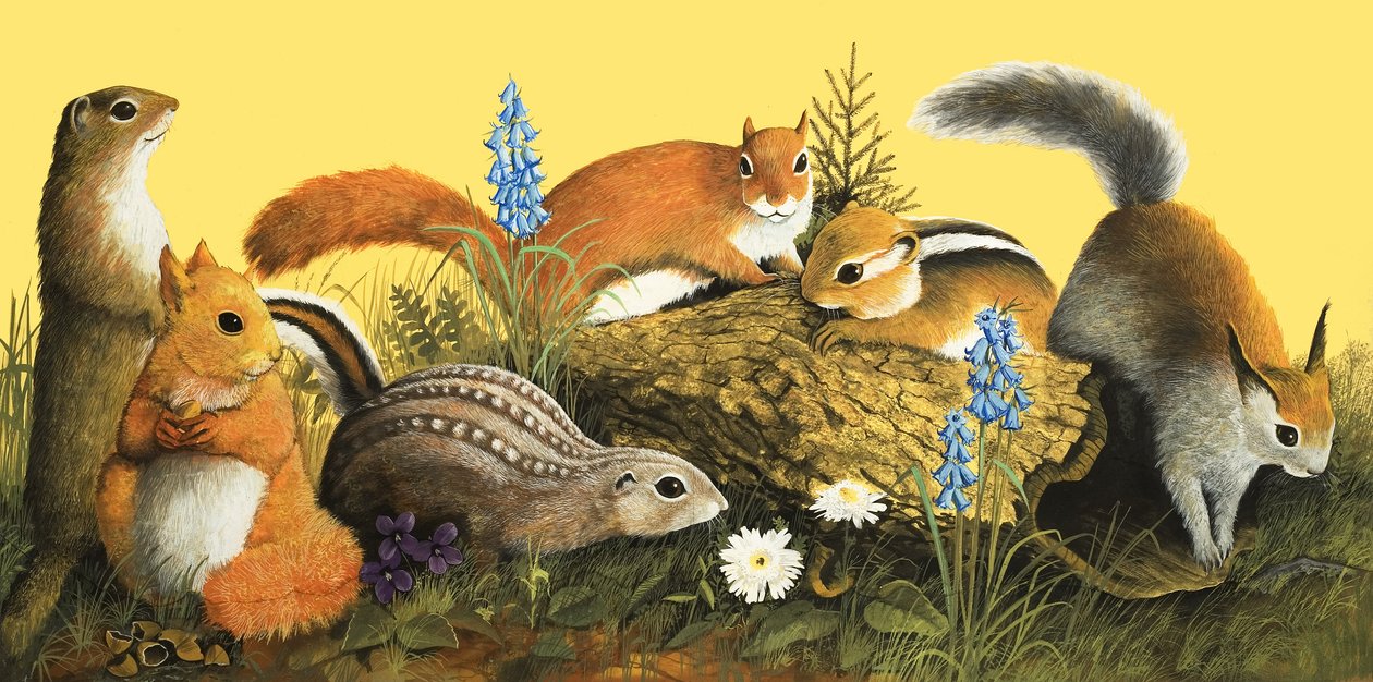 La familia ardilla, ilustración de "Érase una vez" (gouache sobre papel) de English School