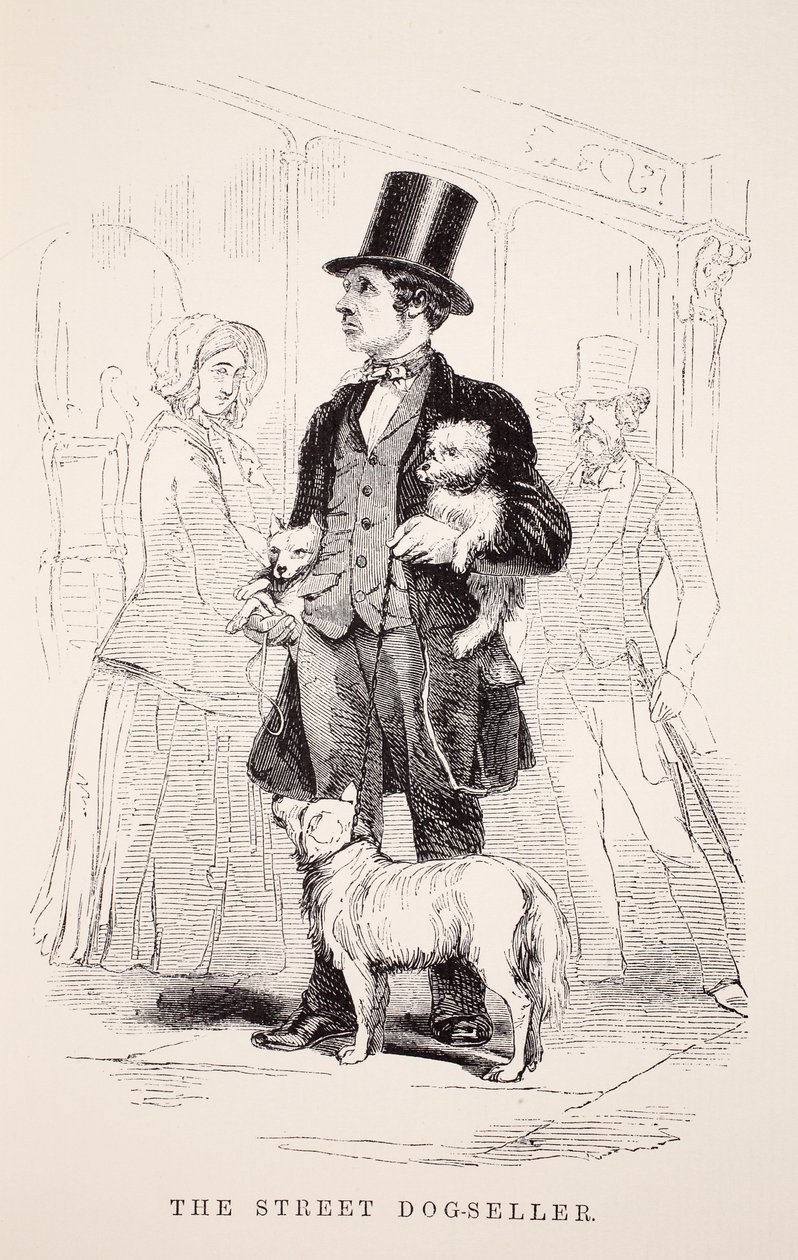 El Vendedor de Perros Callejero, ilustración de London Labour and London Poor por Henry Mayhew, pub. 1862 de English School