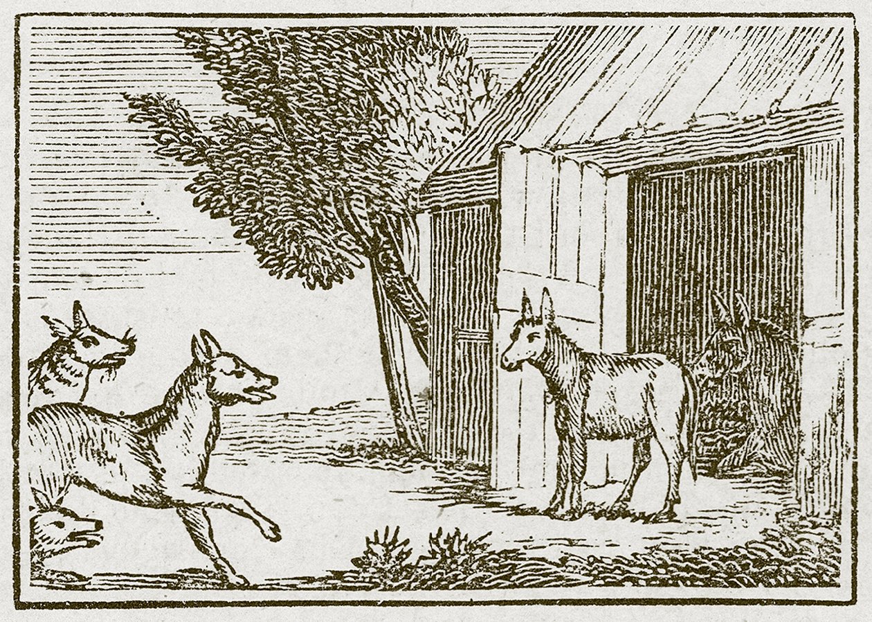 Los lobos y el asno enfermo (grabado) de English School