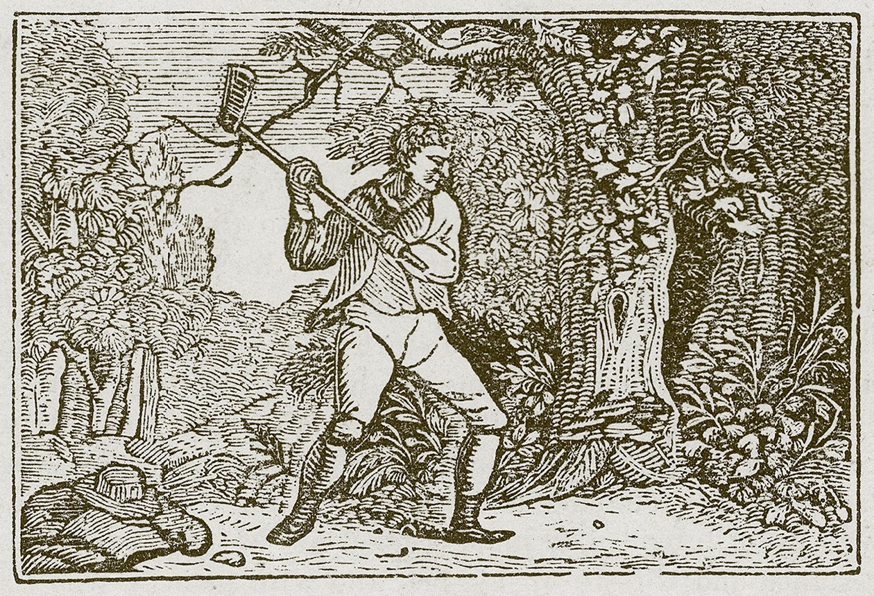 El bosque y el payaso (grabado) de English School