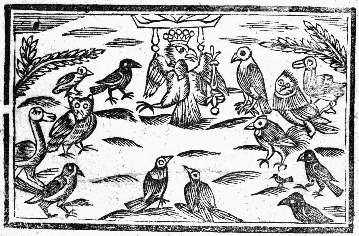 Los coristas del bosque o La armonía de los pájaros, una ilustración de 
